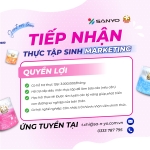 Tuyển dụng Thực tập sinh Marketing